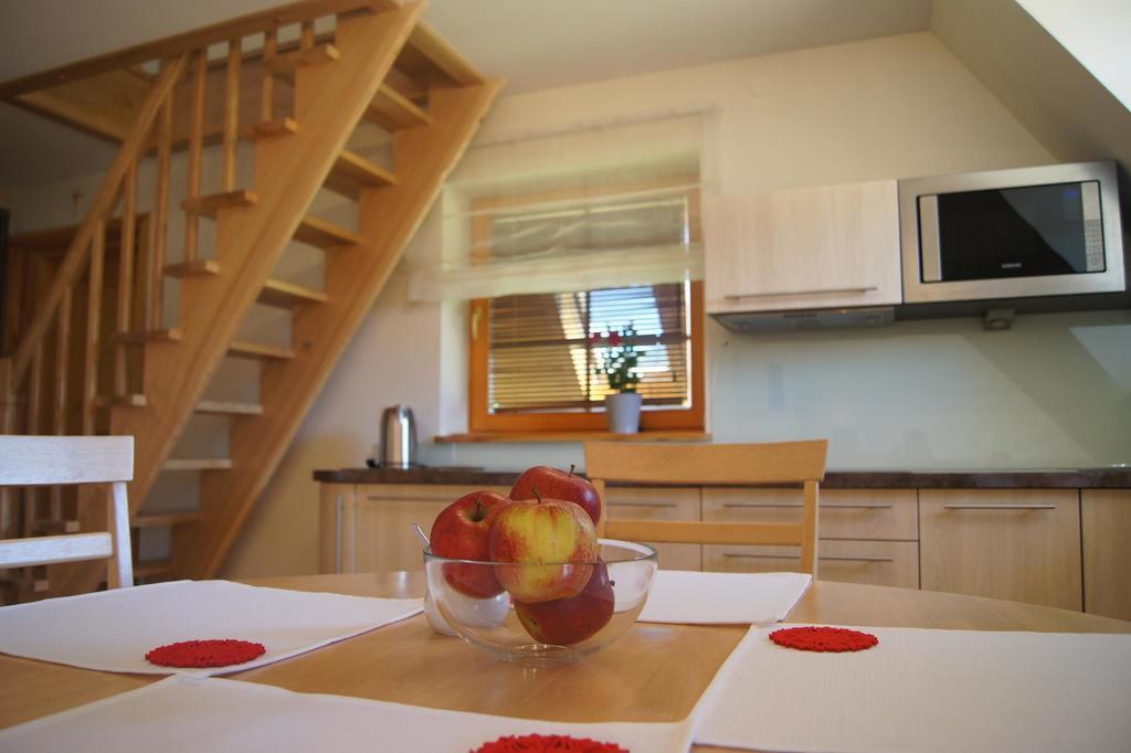 Apartament Mountain View * Kościelisko
